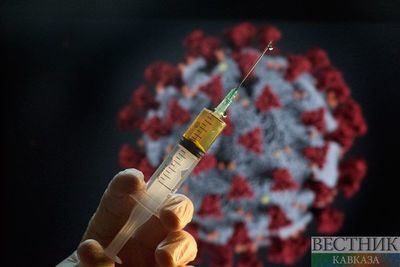 Массовая вакцинация от COVID-19 не начнется до конца года – РАН