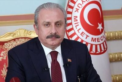 Спикер парламента Турции: на освобожденных землях должен развеваться флаг Азербайджана