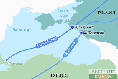 &quot;Газпром&quot; прокомментировал возможный перенос запуска сербского участка &quot;Турецкого потока&quot;