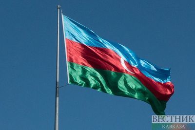 Азербайджанцы всего мира празднуют победный День солидарности