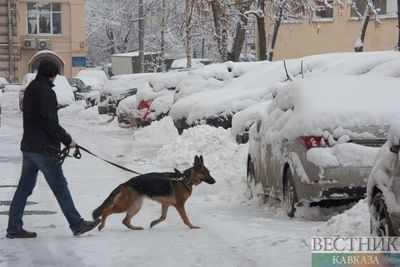 Более половины месячной нормы снега выпало за 4 дня в Москве