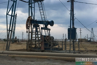 Геологи обнаружили в Казахстане новые залежи нефти
