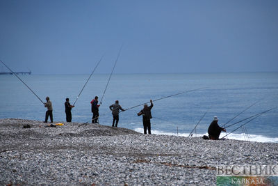 Турецким рыбакам запретили ночную ловлю в части Черного моря