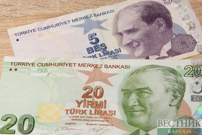 Турецкую экономику стимулируют расходами напуганные инфляцией потребители 