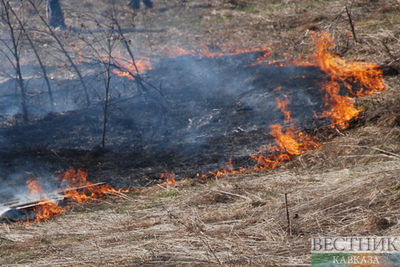 На западе Грузии ликвидировали лесной пожар
