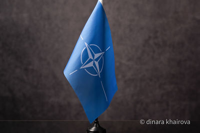 Турция и Швеция обсудят вступление в НАТО в начале июня