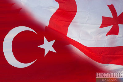 Новый глава МИД Турции посетит Грузию