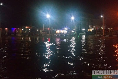 Из-за наводнения в Стамбуле погибли два человека