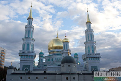 Мусульмане России открыли сбор для палестинцев