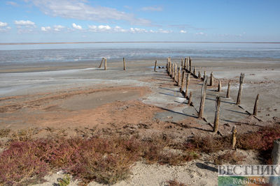 Наследие Арала: озеро в Узбекистане попало в список угодий международного значения