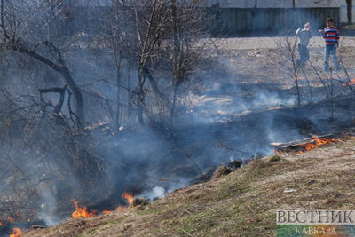 Автоинспекторы вытащили водителя из горящей машины на Ставрополье (ВИДЕО)