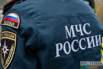 Из-за жары в Волгоградской области ввели особый противопожарный режим