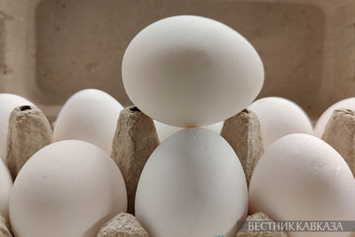 Производство яиц в России приблизится к 50 млрд штук в год
