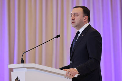 Гарибашвили обсудил с докладчиками ПАСЕ ситуацию в Грузии