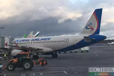 Пассажиры в Сочи устроили потасовку с экипажем авиалайнера