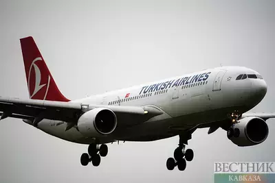 В Кремле надеются решить проблему с Turkish Airlines благодаря дружбе с Турцией