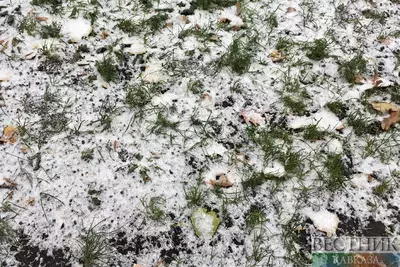 Ставрополье накроет снегопадом