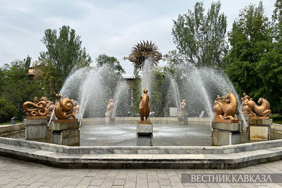 В Алматы поползли слухи об эпидемии менингита 